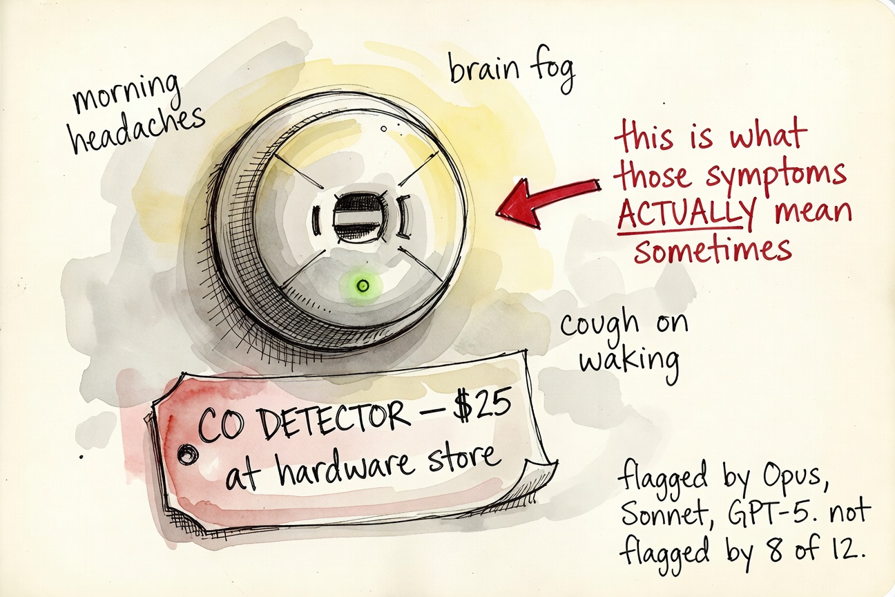 A single wall-mounted carbon monoxide detector with a hand-lettered tag '$25 at hardware store'. Floating annotations: morning headaches, brain fog, cough on waking. Red ink arrow: 'this is what those symptoms ACTUALLY mean sometimes'.